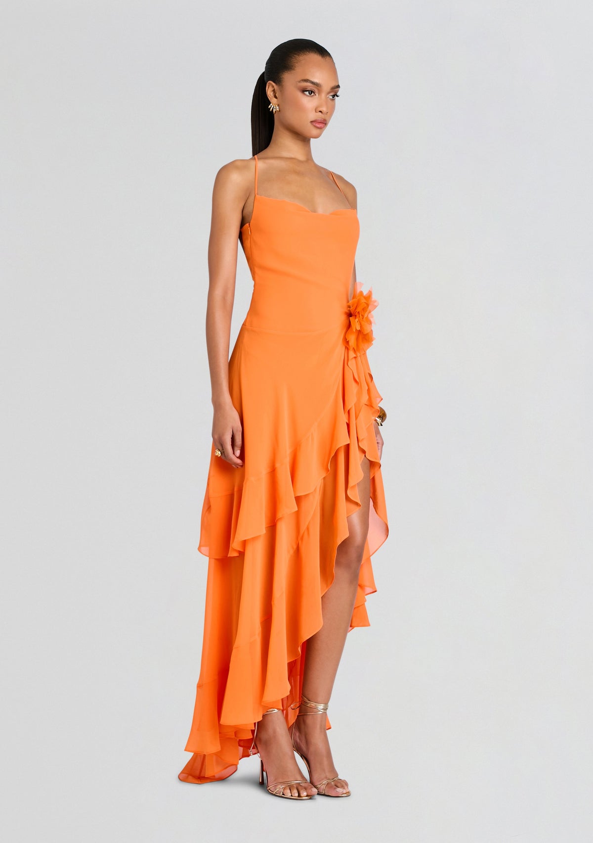 Samara Silk Chiffon Dress by retrofête in Arianzo, product image 3