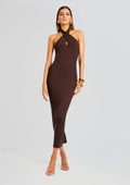 Lozza Halter Neck Maxi Dress by Sans Faff in Brown, product image 1