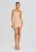 Chicca Dress by retrofête in Nude/Silver, product image 1