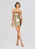 Nolia Sequin Embellished Dress by retrofête in Champagne Dust, product image 1