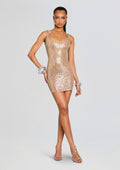 Theolonia Sequin Dress by retrofête in Nude/Gold/Silver, product image 1