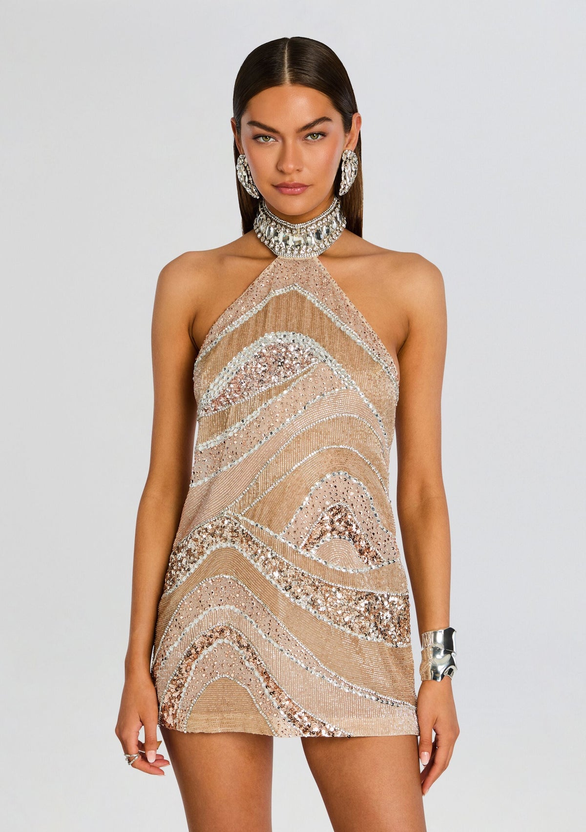 Buffie Embroidered Dress by retrofête in Champagne/Silver, product image 6