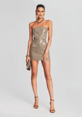 Allison Sequin Dress by retrofête in Multi Brown, product image 1